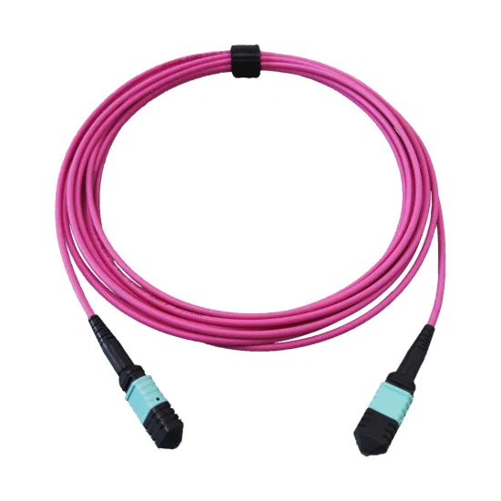 MPO Trunk Optical Patch Cord Single Mode MPO 12 Core Optic Fiber Patch Cord MTP MPO Fiber Patch Cord